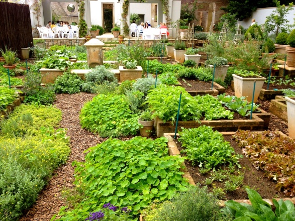 A stunning fresh herb garden at a house in Johannesburg, where I went on a cookery course.